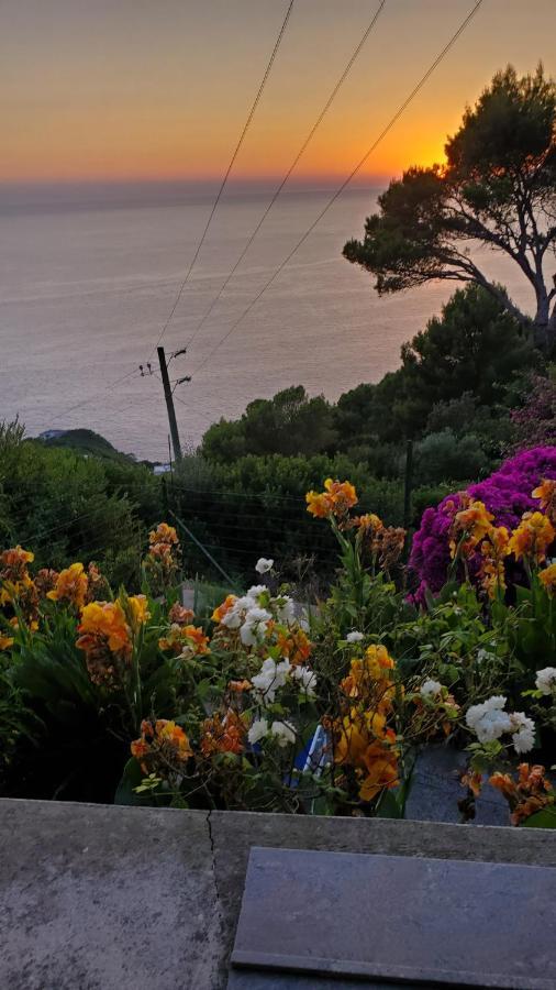 Bb La Guardiia Bed & Breakfast Anacapri  Exterior photo