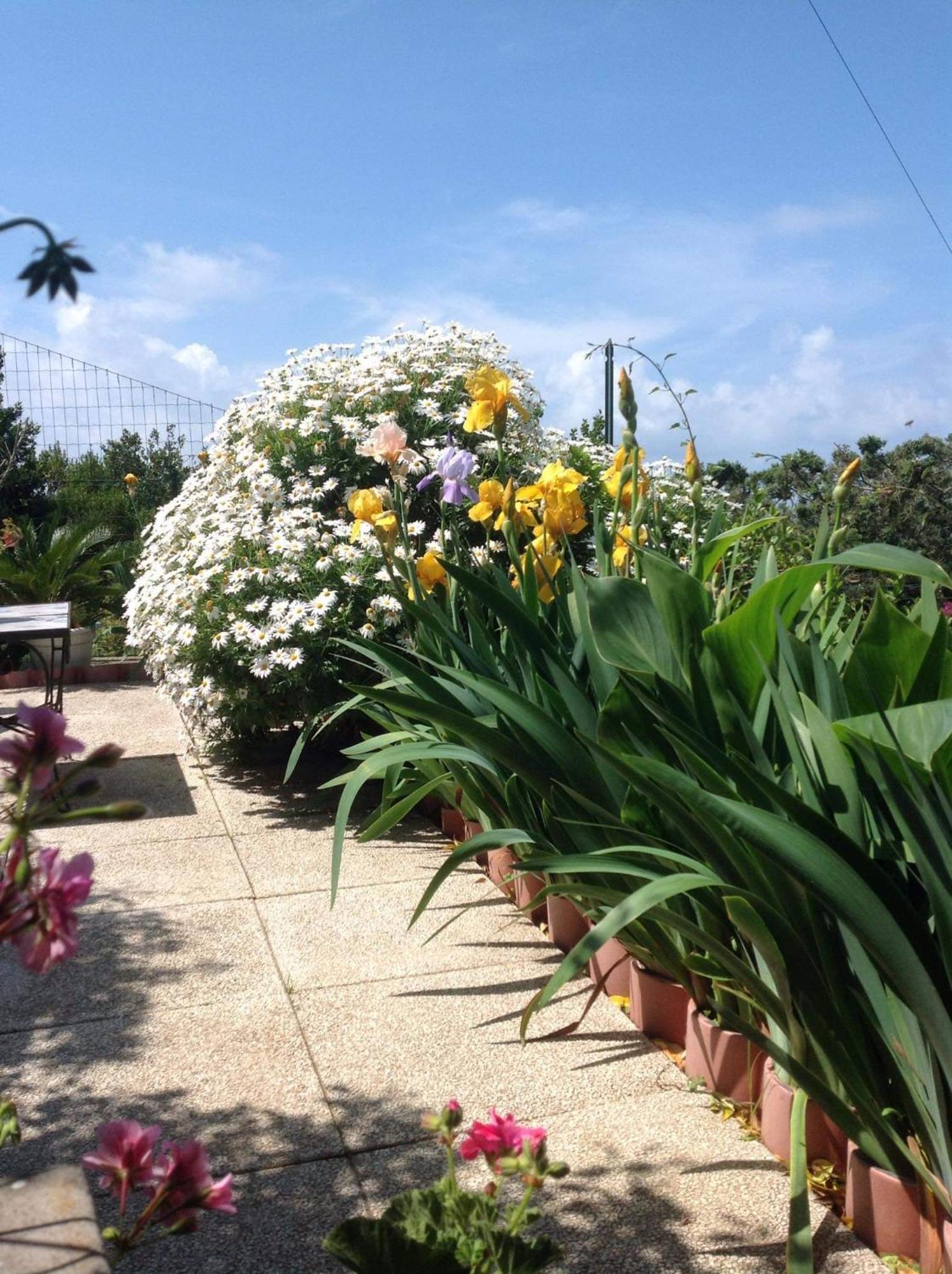 Bb La Guardiia Bed & Breakfast Anacapri  Exterior photo