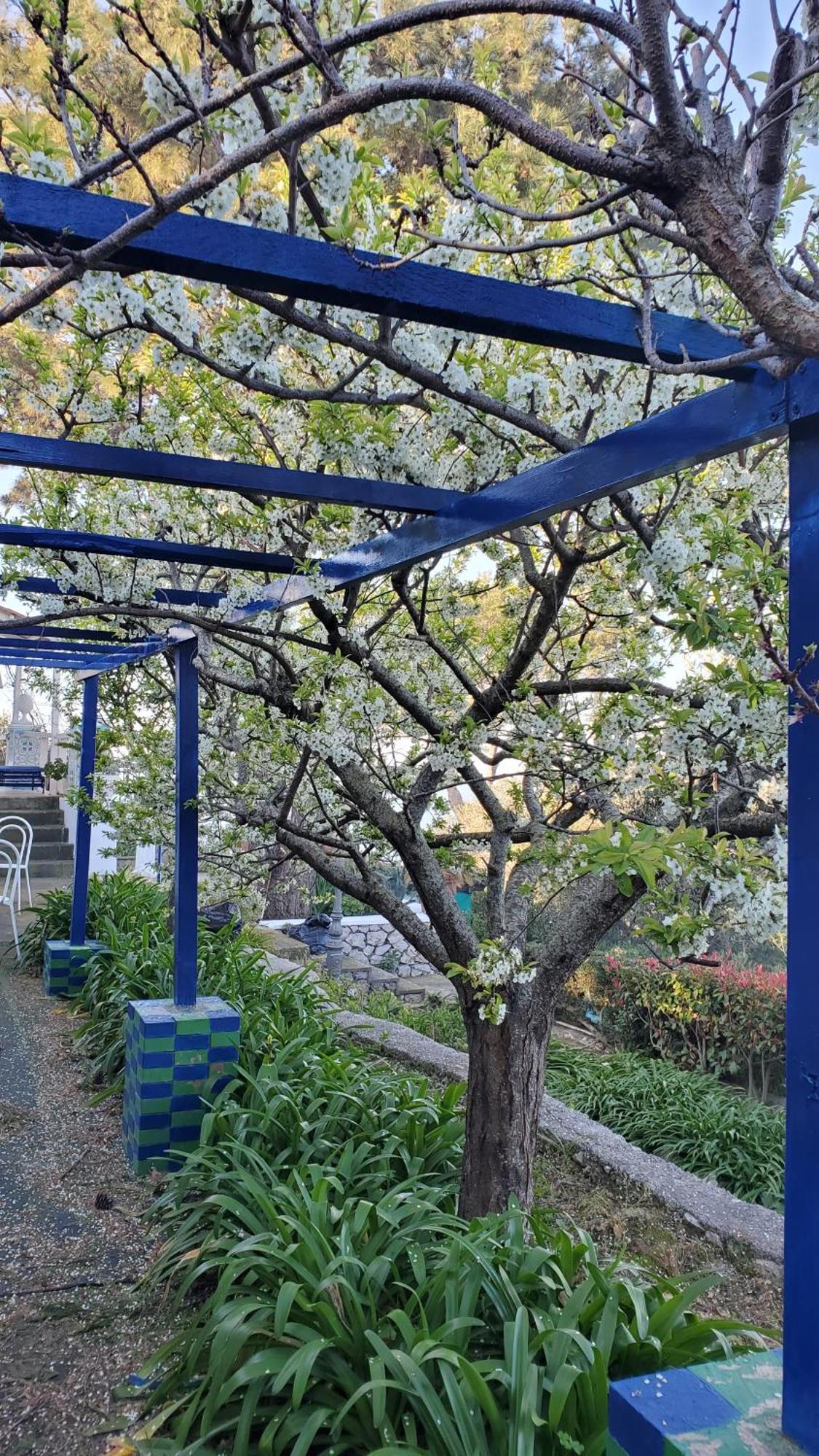 Bb La Guardiia Bed & Breakfast Anacapri  Exterior photo